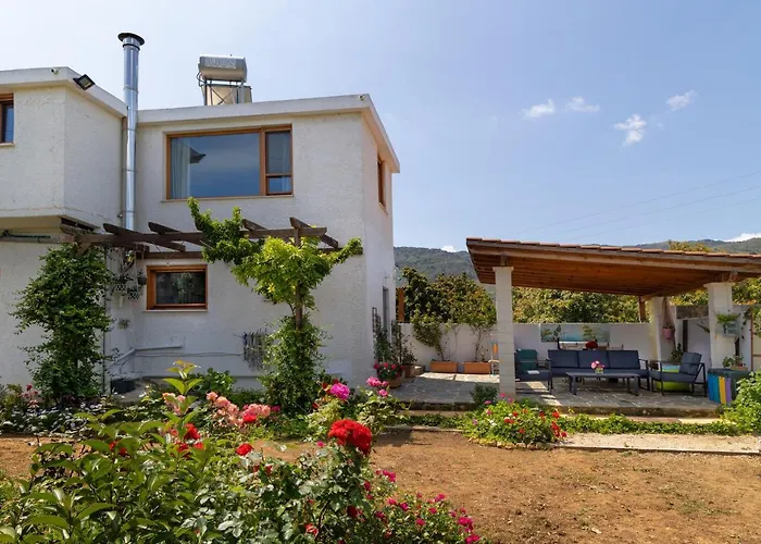 Eliva House